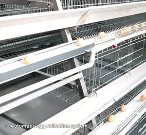 96/128birds cage per set Automatic poultry farm equipment animal A type laying egg chicken cage system