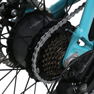 Moto électrique TXED E Nature Tour F 48V 250W avec moteur de moyeu arrière, poignées chauffantes d'hiver, plaque décorative en bois - Product Image 2