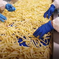 Goede prijs, groothandelskwaliteit, diepvries frites uit China, IQF verwerkt | Bulkverpakkingen | Ideaal voor export en foodservice