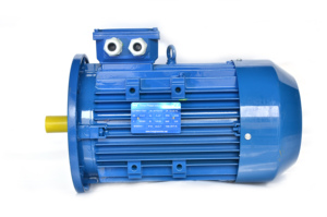 มอเตอร์ไฟฟ้ากระแสสลับกำลังสูง ขายดี 0.75kw 1.5kw 5kw 10kw 11kw 15kw 20kw 25kw 40kw 50kw 80kw 150kw 200 kw 3000w 10000 20000 วัตต์ 15000w - Product Image 4