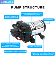 Mambaflo 42 series 17LPM/5.0GPM tekanan tinggi RV marine diafragma pompa air 70PSI/4.82BAR pompa booster AC VOLT 220V AC listrik