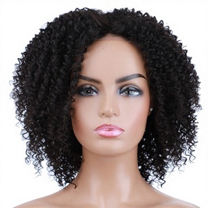 <strong>Lacewig</strong> Lace Mixed Natural Curly Short Wig Kinky Curly Domestic Silk Natural Middle Parting Lace Hairline Machine - Product Image 1