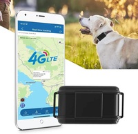 Traceur GPS 4G TKSTAR pour animaux de compagnie, étanche, anti-perte, dispositif de chasse pour animaux avec suivi par PC, réseau GSM et LTE