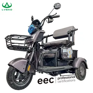 LB-XXX5 Customer Needs Adult Tricycle 3 Wheel Electric Tricycle For Adults Electric Tricycles Transportation For Work