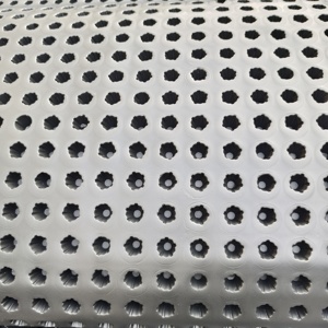 HDPE <strong>Plastic</strong> Dimple Drainage Board for Garage <strong>Roof</strong> Basement-Outdoor Modern Design - Product Image 3