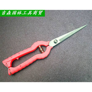 Sécateur de taille pour glycine de montagne de Taïwan 62, tête droite, en acier inoxydable, design papillon, pour la taille des vigne fruitières - Product Image 1