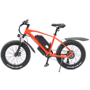 Bicicleta Eléctrica Fatbike al Por Mayor, 48v, Neumáticos Gruesos, Modelo <span class=keywords><strong>2022</strong></span>, 20 Pulgadas, Estilo Playa, 750W 1000w, Bicicleta para Nieve - Product Image 2
