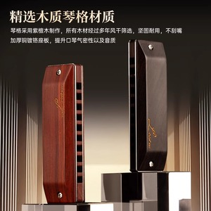 Armónica diatónica de madera Feifan F901 de 10 orificios para principiantes y profesionales. - Product Image 4