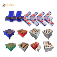 Sistema DWS Automático Duffy para Clasificación, Pesaje y Escaneo de Paquetes en Almacenes Logísticos para Plantas de Manufactura