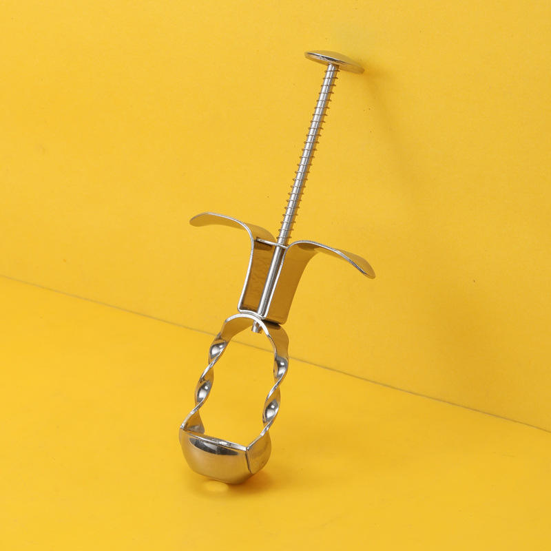 Acier inoxydable 304 - Piter de jujube tout en acier