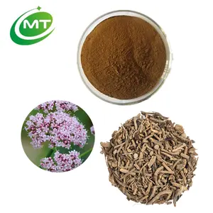 Organische Hoge Pure Ontspannen Slaap Steun Valeriaan Extract Valeriana Officinalis Root Extract Poeder