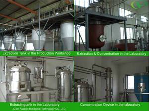 Заводская поставка, витамин С, органический экстракт вишни ацеролы, порошок, сушеный порошок вишни ацеролы - Product Image 5