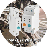 Disjoncteur intelligent Wi-Fi HomeKit monophasé 2P/triphasé 3P 240V sur rail DIN, modulaire et miniature