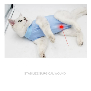 C098 Wholesale Adjustable Female Anti-Licking Breathable Elastic Cotton Cat Weaning Medical Rehabilitation Suit for Hallo - Product Image 4