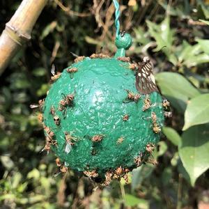 Bola <span class=keywords><strong>de</strong></span> trampa para moscas <span class=keywords><strong>de</strong></span> frutas Bola <span class=keywords><strong>de</strong></span> trampa para moscas colgante Bola <span class=keywords><strong>de</strong></span> trampa para moscas - Product Image 3