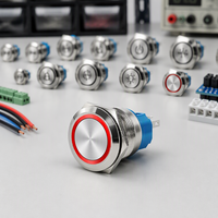 Interrupteur à bouton-poussoir électronique en métal 12mm 16mm 19mm 22mm, à réinitialisation automatique, normalement ouvert, IP66 avec LED 24V
