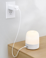 Prise murale USB universelle standard américaine 5V 2A, adaptateur secteur, lampe, téléphone, tablette, petits appareils électroménagers, chargeur mural