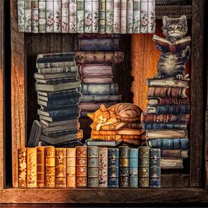 2 papieren stickers per verpakking Boekpresentatie Ruimte Serie Retro Waterboek Huisscène Planner - Product Image 1