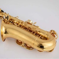 Alto Saxophone Gold Lacquered Woodwind Instrument with EB Tone Brass Surface