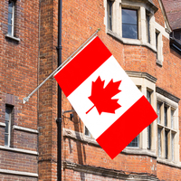 Drapeau du Canada en gros, drapeaux nationaux de tous les pays, 3x5 pieds, en fibre de polyester pour extérieur, livraison rapide, personnalisable
