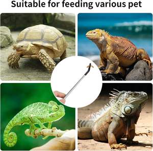 Gratis sampel ujung karet lurus & panjang melengkung dengan pinset untuk akuarium atau kerajinan penjepit makanan reptil baja tahan karat - Product Image 4