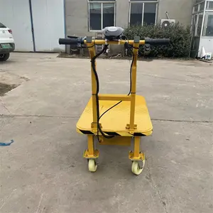 Best Selling 800w Electrician Hand Push Flat Car Loading 800kg Small Engineering Car