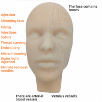 Tête d'entraînement en silicone pour injections faciales avec os et vaisseaux, pour la pratique de la micro-plastique
