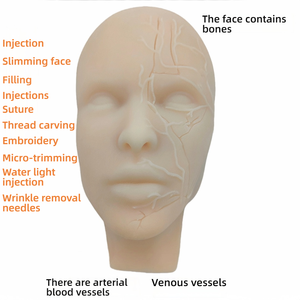 Tête d'entraînement en silicone pour injections faciales avec os et vaisseaux, pour <span class=keywords><strong>la</strong></span> pratique de <span class=keywords><strong>la</strong></span> micro-plastique - Product Image 5