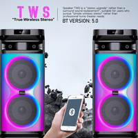 Altavoz de Karaoke Bluetooth con Micrófono, Altavoz para Fiestas al Aire Libre, Altavoz de Karaoke Dual de 8 Pulgadas con Micrófono y Bluetooth