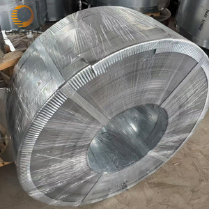 Bobina di Acciaio Zincato a Caldo DX51D Z120 AiSi ASTM A653, Spessore 0.5-3.0mm, Larghezza 1250mm per Edilizia/Automotive - Product Image 1