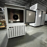 Máquina de Producción de Helados en Gel de Congelación Rápida -40 ° Congelador Comercial de Congelación Rápida para Moldes de Silicona 3D para Helados