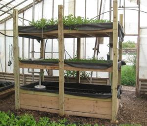 دلو بلاستيكي مربع سعة <span class=keywords><strong>5</strong></span> جالون (20 لتر) للاستخدام في نظام الزراعة المائية بدون تربة - Product Image 6