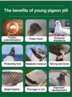 Pilules pour jeunes pigeons, complément nutritionnel pour pigeons de course, pilules stimulant la croissance et l'immunité pour jeunes pigeons de course, additif alimentaire pour oiseaux