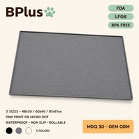 Tapis pour gamelle de chien en silicone de qualité alimentaire BPlus 48x30cm 279g Dureté Shore A 55 avec motif patte OEM ODM MOQ 50 FDA LFGB Sans BPA