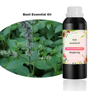 With Best Price Steam-distilled Concentrated Fragrance Aromatherapy Oil Basil Essential Roller Organic Oils For Hair and Skin