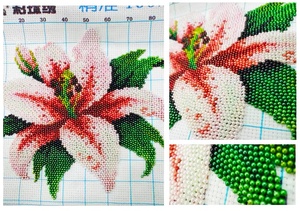 Nuevo Producto 2025, Kit de Bordado de Flores con Cuentas de Perlas Hechas a Mano, Técnica de Bricolaje en Algodón para Principiantes - Product Image 2