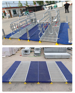 Chất lượng cao New Pig nâng cao thiết bị động vật lồng gieo <span class=keywords><strong>farrowing</strong></span> Crate cho lợn trang trại - Product Image 2