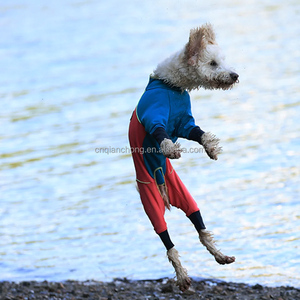 Vêtements personnalisés pour animaux <span class=keywords><strong>de</strong></span> compagnie, vêtements <span class=keywords><strong>de</strong></span> luxe pour chiens, vente <span class=keywords><strong>en</strong></span> gros, vêtements imperméables pour grands chiens, combinaison pour <span class=keywords><strong>chien</strong></span> - Product Image 2