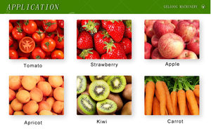 Ligne complète automatique de fabrication de pâte de tomate en boîte de conserve Sauce Ketchup Remplissage et filtre Ligne de production de pâte de tomate concentrée - Product Image 2