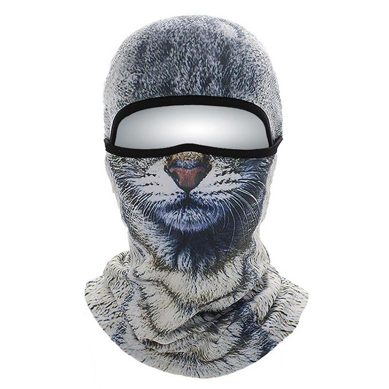 Chat gris