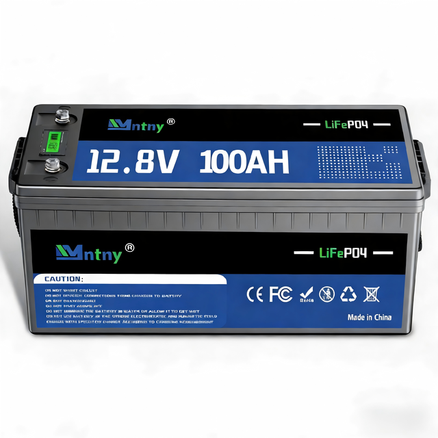 Smart BMS 12V 100ah LiFePO4 Lithium Battery Pack with Bluetooth Monitor for Backup Power Solar