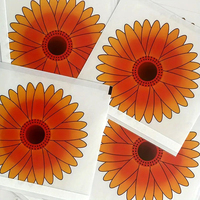 PD Window Fruit Fly Traps Sterke kleefkracht Solide Milieuvriendelijk Waterdicht Wegwerp Caterpillar Stickers voor binnengebruik 60 stuks