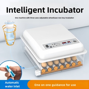Incubateur d'oeufs de bonne qualité 120 capacité incubateur entièrement automatique <span class=keywords><strong>à</strong></span> <span class=keywords><strong>vendre</strong></span> - Product Image 3