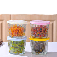 Verticale patroon glazen voedselcontainer, leeg, transparant, voor kimchi en fruit, glazen pot met plastic deksel