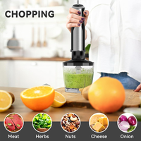 Mixeur Plongeant Électrique 5-en-1 avec Hachoir, Moteur en Cuivre Pur pour Cuisine Domestique, Hôtels et Utilisation Extérieure