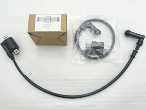 Bobina de Encendido para Motores de 300CC, 250CC, 190CC, 150CC, Bobina de Encendido Sin Restricciones para Motocicletas Todoterreno GUADI <span class=keywords><strong>300</strong></span> - Product Image 4