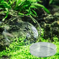 Aquarium crevettes alimentation plat bol bol mangeoire plateau récipient verre crevettes alimentation plat pour crevettes nourriture
