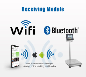 Whitebird Factory Accuracy Ip68 Tragbare einfache Electronica-Plattform Balance Gewicht Maschinen anzeige Waage - Product Image 6