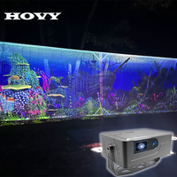 Logiciel/système de projecteurs interactifs, attraction nocturne, jeux de projection interactifs au sol, Full HD 1080p, mise au point automatique