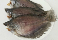 Peau de serpent séchée de qualité supérieure, poisson gourami (Trichogaster Pectoralis) - Séchée au soleil/séchée au four, en-cas frits, saveur de viande - Vietnam